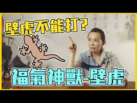 家中突然出現壁虎|在風水學中：家裡進壁虎是什麼寓意？4種預兆要「小心」了